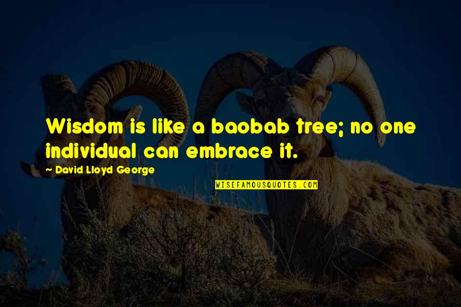 Shaytard Quotes By David Lloyd George: Wisdom is like a baobab tree; no one Shaytard Quotes By David Lloyd George: Wisdom is like a baobab tree; no one