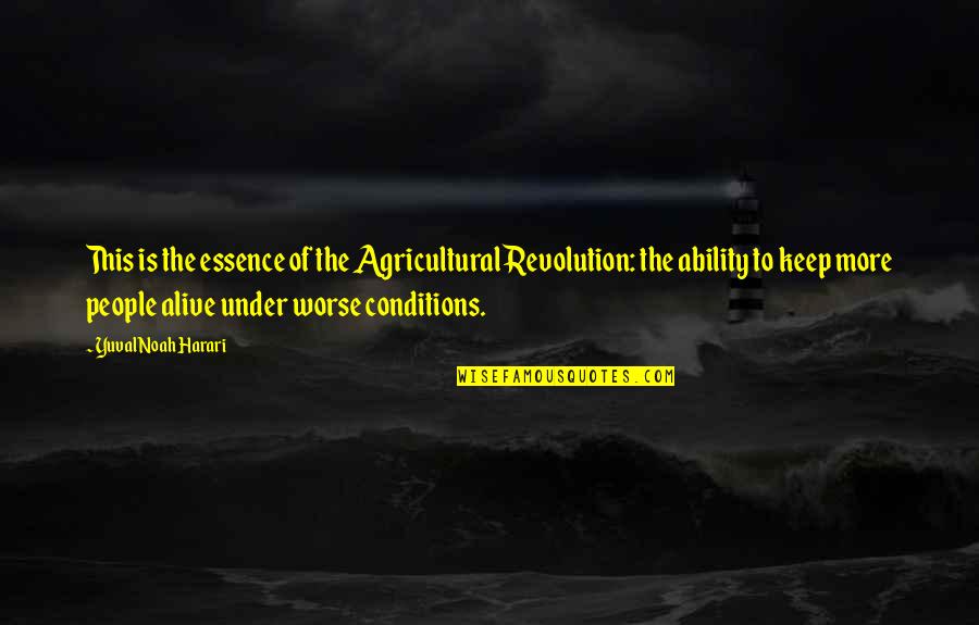 She Ain't Goin Out Like That Quotes By Yuval Noah Harari: This is the essence of the Agricultural Revolution: