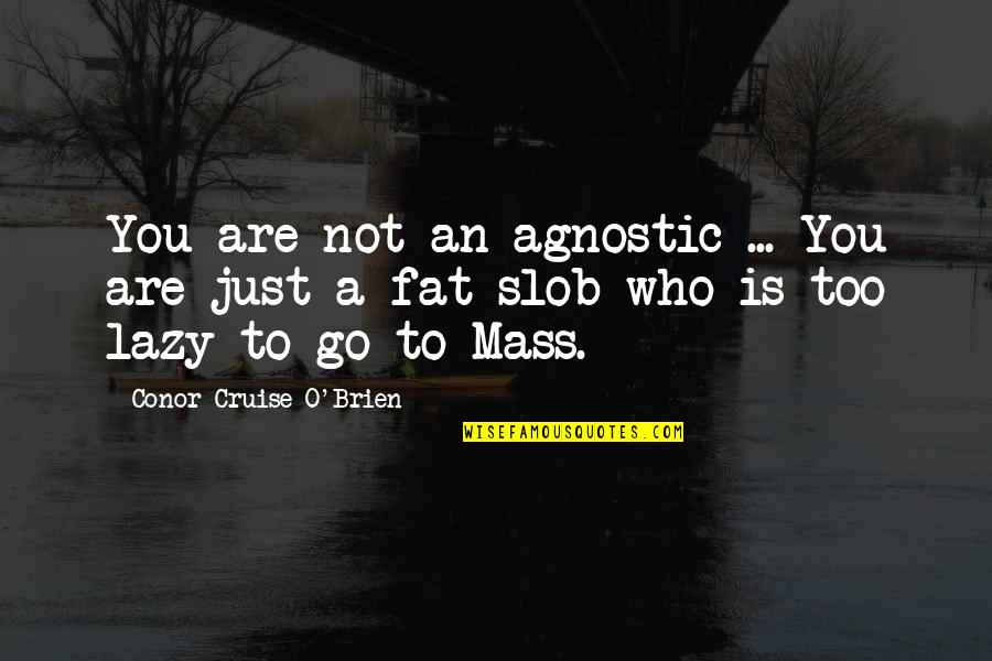 She Believed She Could Quotes By Conor Cruise O'Brien: You are not an agnostic ... You are