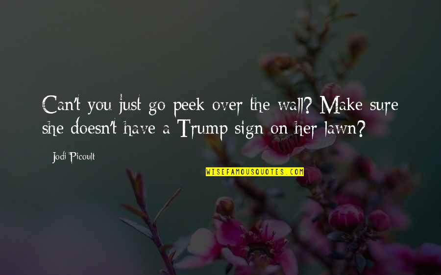 She Can Have You Quotes By Jodi Picoult: Can't you just go peek over the wall?