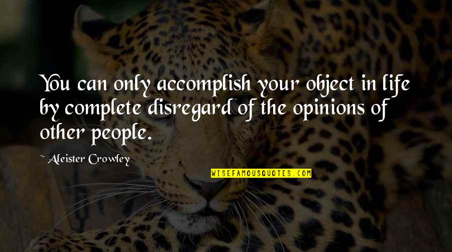 She Complete My Day Quotes By Aleister Crowley: You can only accomplish your object in life