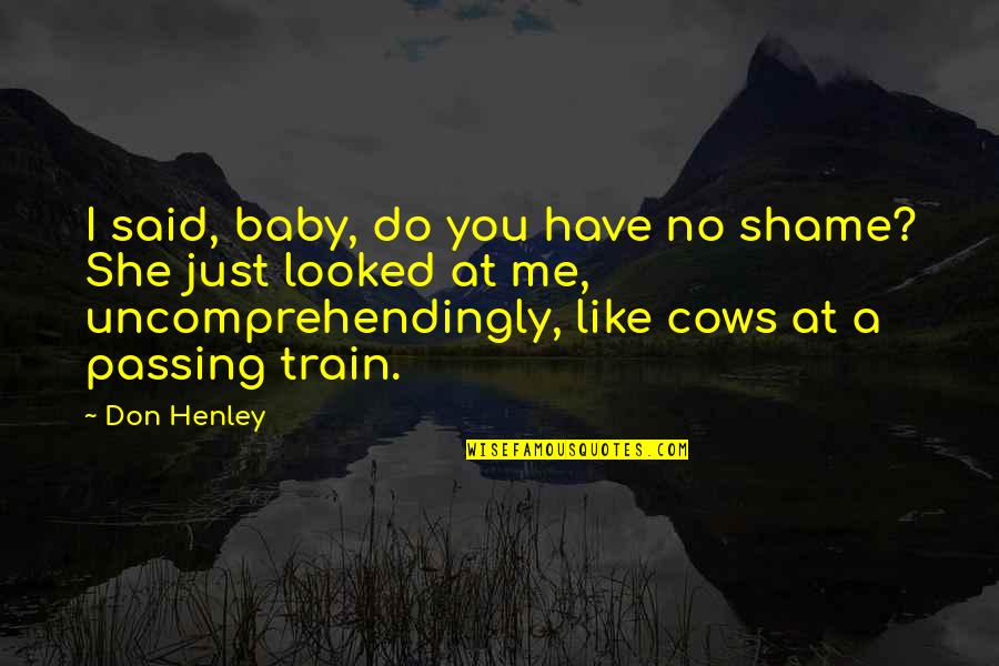 She Don't Like Me Quotes By Don Henley: I said, baby, do you have no shame?