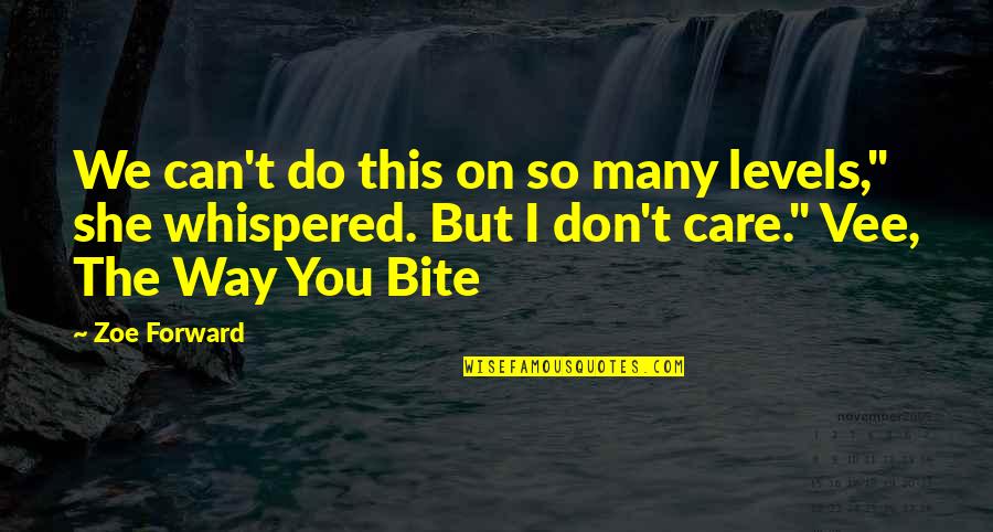 She Don't Love You Quotes By Zoe Forward: We can't do this on so many levels,"