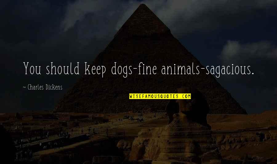 She Has Strength Quotes By Charles Dickens: You should keep dogs-fine animals-sagacious. She Has Strength Quotes By Charles Dickens: You should keep dogs-fine animals-sagacious.
