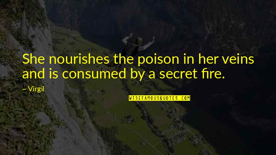 She Is Fire Quotes By Virgil: She nourishes the poison in her veins and