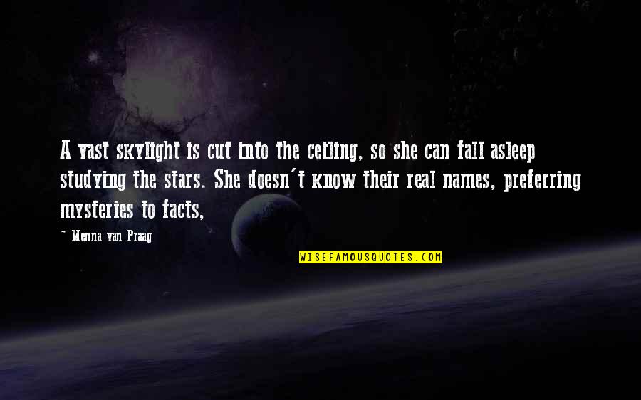 She Is Real Quotes By Menna Van Praag: A vast skylight is cut into the ceiling,