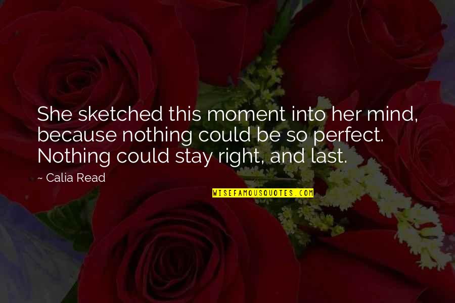 She Is So Perfect Quotes By Calia Read: She sketched this moment into her mind, because