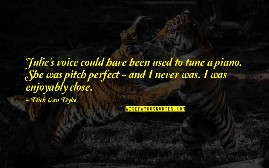 She Is So Perfect Quotes By Dick Van Dyke: Julie's voice could have been used to tune