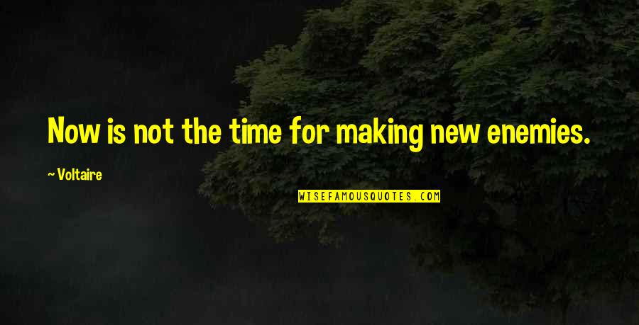 She No Competition Quotes By Voltaire: Now is not the time for making new