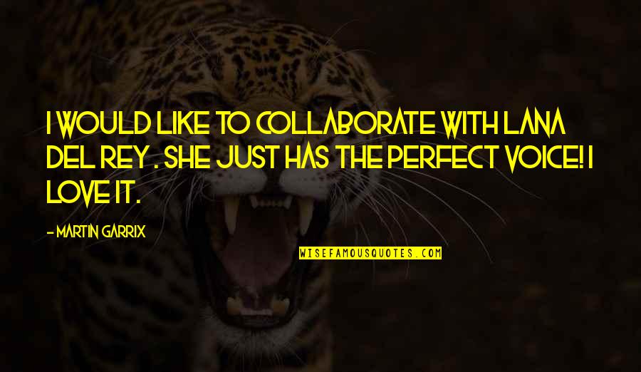 She Not Perfect Quotes By Martin Garrix: I would like to collaborate with Lana Del