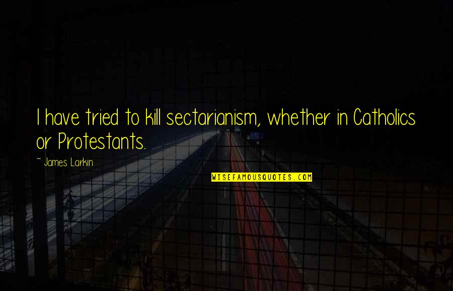 She Rejected Me Quotes By James Larkin: I have tried to kill sectarianism, whether in