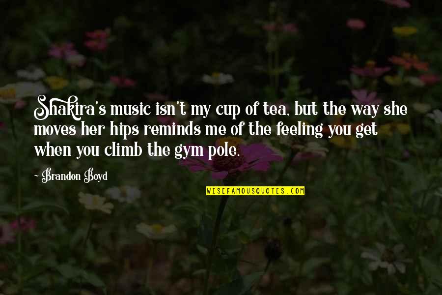 She Reminds Me Of You Quotes By Brandon Boyd: Shakira's music isn't my cup of tea, but She Reminds Me Of You Quotes By Brandon Boyd: Shakira's music isn't my cup of tea, but
