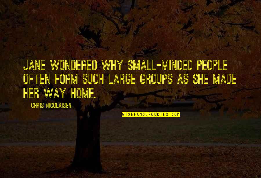 She Small Quotes By Chris Nicolaisen: Jane wondered why small-minded people often form such