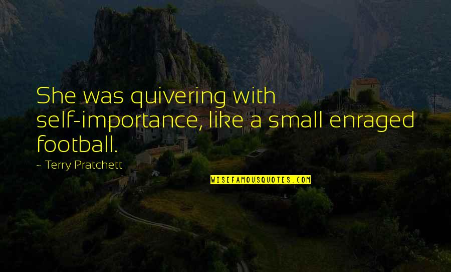 She Small Quotes By Terry Pratchett: She was quivering with self-importance, like a small