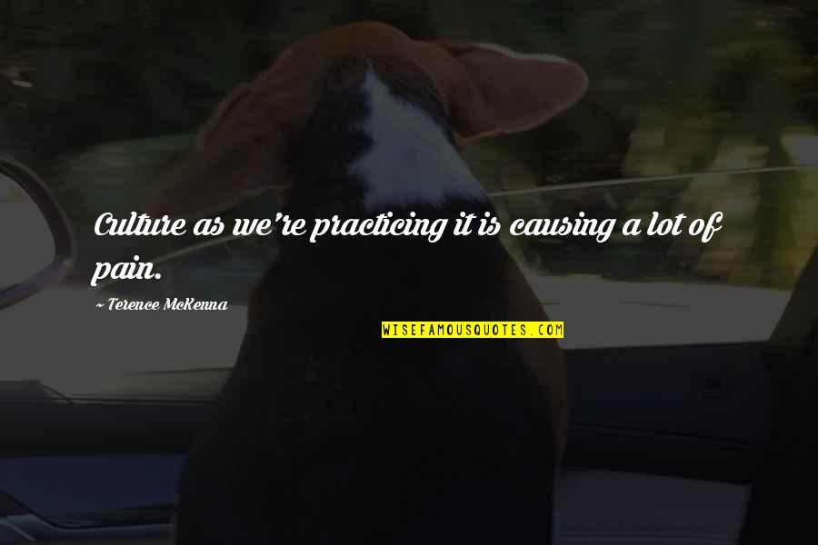 She Stands Tall Quotes By Terence McKenna: Culture as we're practicing it is causing a