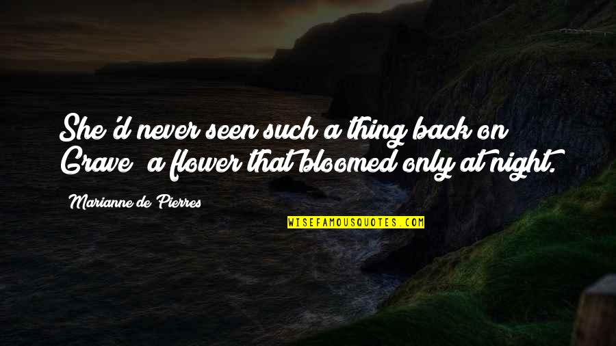 She Thing Quotes By Marianne De Pierres: She'd never seen such a thing back on She Thing Quotes By Marianne De Pierres: She'd never seen such a thing back on