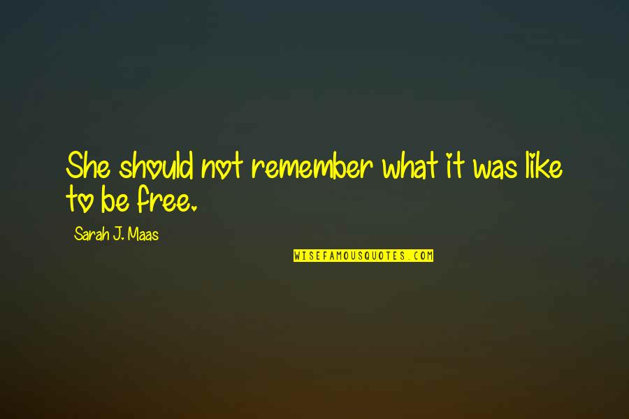 She Was Free Quotes By Sarah J. Maas: She should not remember what it was like She Was Free Quotes By Sarah J. Maas: She should not remember what it was like