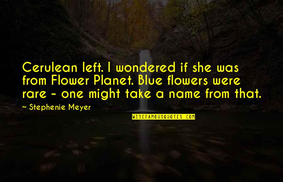 She Wondered Quotes By Stephenie Meyer: Cerulean left. I wondered if she was from