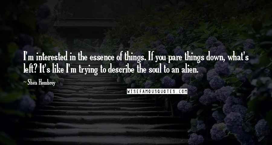 Shea Hembrey quotes: I'm interested in the essence of things. If you pare things down, what's left? It's like I'm trying to describe the soul to an alien.