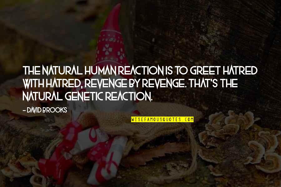 Shebeen Quotes By David Brooks: The natural human reaction is to greet hatred Shebeen Quotes By David Brooks: The natural human reaction is to greet hatred