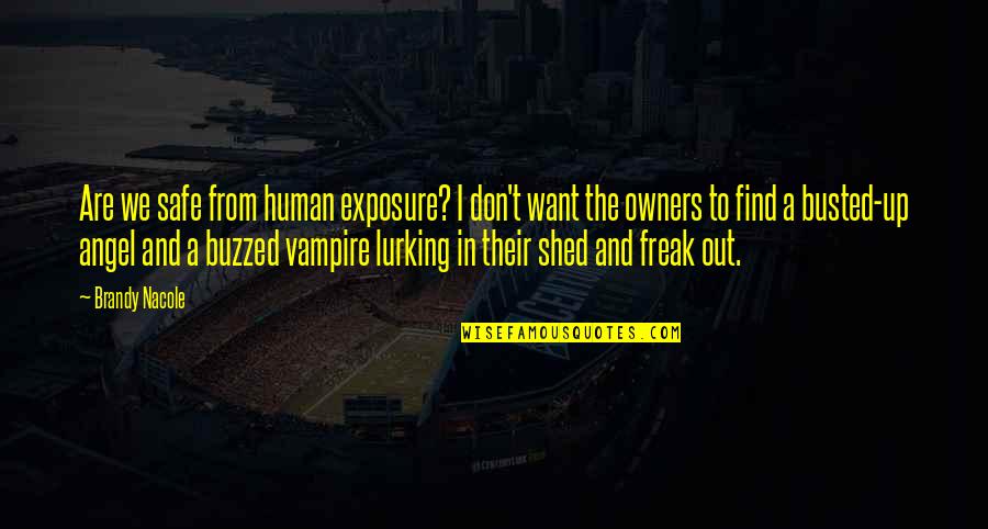 Shed From Quotes By Brandy Nacole: Are we safe from human exposure? I don't Shed From Quotes By Brandy Nacole: Are we safe from human exposure? I don't