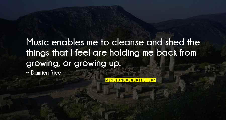 Shed From Quotes By Damien Rice: Music enables me to cleanse and shed the Shed From Quotes By Damien Rice: Music enables me to cleanse and shed the
