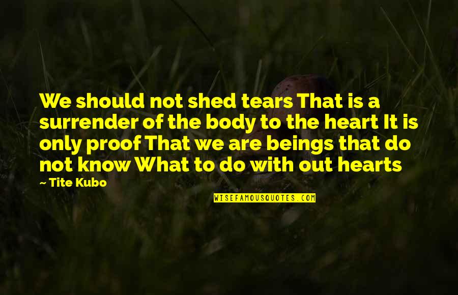 Shed So Many Tears Quotes By Tite Kubo: We should not shed tears That is a Shed So Many Tears Quotes By Tite Kubo: We should not shed tears That is a