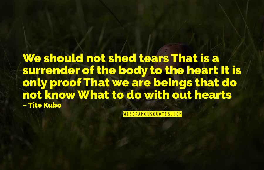 Shed Your Tears Quotes By Tite Kubo: We should not shed tears That is a