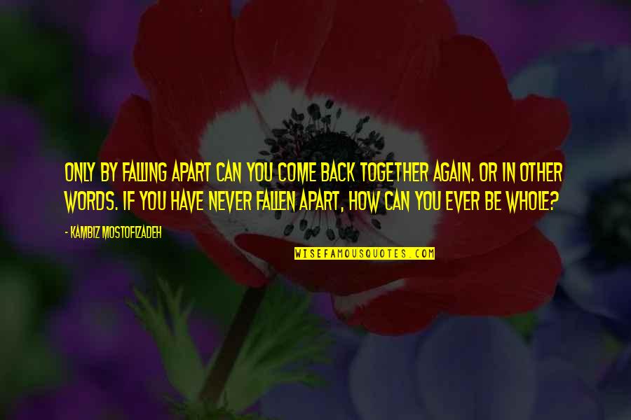 Shedares Quotes By Kambiz Mostofizadeh: Only by falling apart can you come back