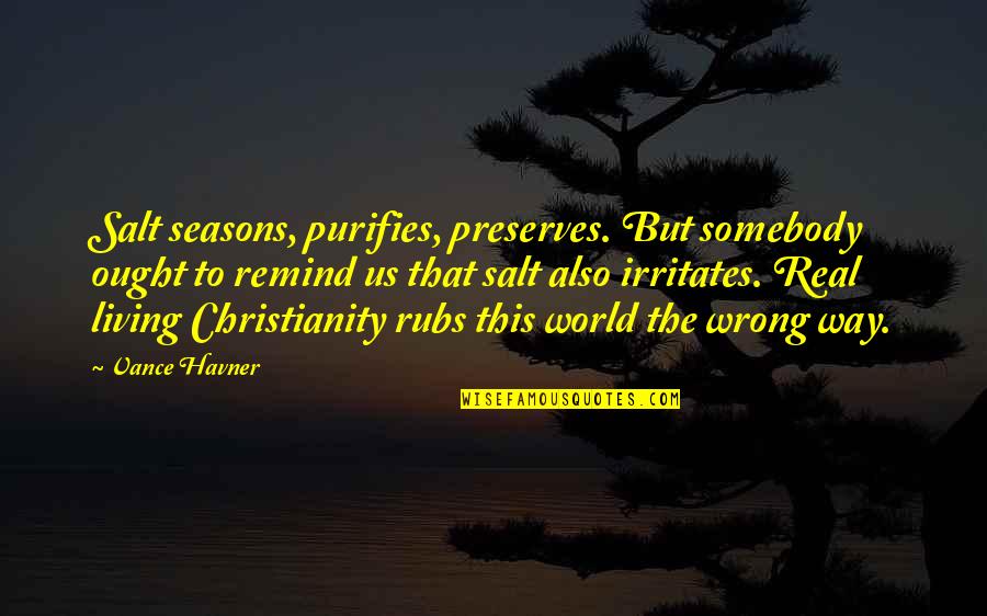Shedd Quotes By Vance Havner: Salt seasons, purifies, preserves. But somebody ought to Shedd Quotes By Vance Havner: Salt seasons, purifies, preserves. But somebody ought to