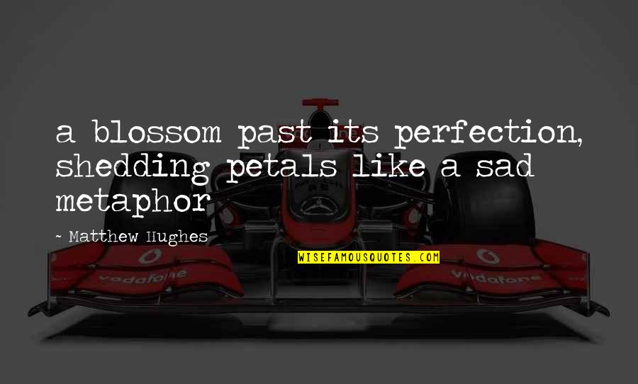 Shedding The Past Quotes By Matthew Hughes: a blossom past its perfection, shedding petals like Shedding The Past Quotes By Matthew Hughes: a blossom past its perfection, shedding petals like