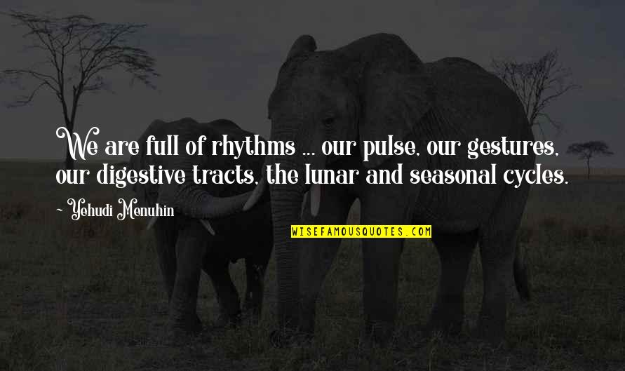 Sheds Of Grey Quotes By Yehudi Menuhin: We are full of rhythms ... our pulse,