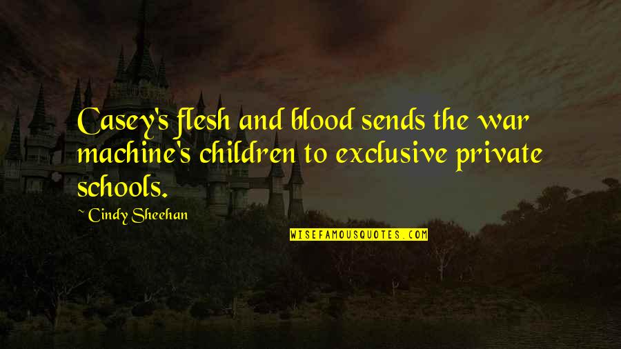 Sheehan's Quotes By Cindy Sheehan: Casey's flesh and blood sends the war machine's