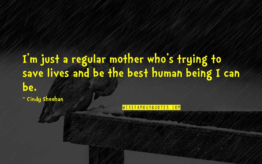 Sheehan's Quotes By Cindy Sheehan: I'm just a regular mother who's trying to