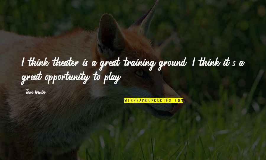 Sheelagh Bevan Quotes By Tom Irwin: I think theater is a great training ground;