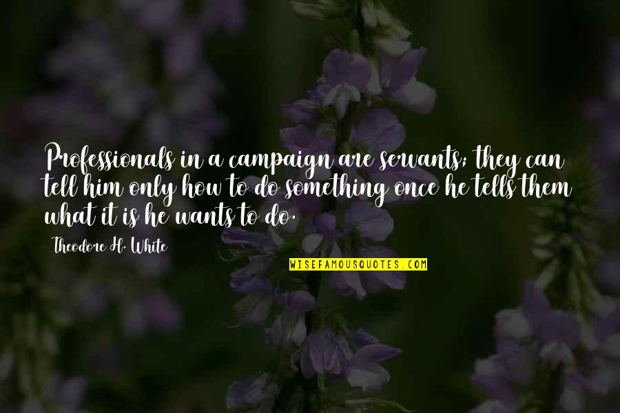 Sheelah Clarkson Quotes By Theodore H. White: Professionals in a campaign are servants; they can
