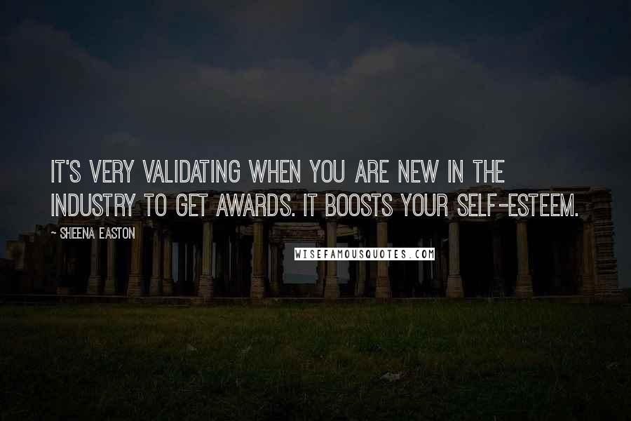 Sheena Easton quotes: It's very validating when you are new in the industry to get awards. It boosts your self-esteem.