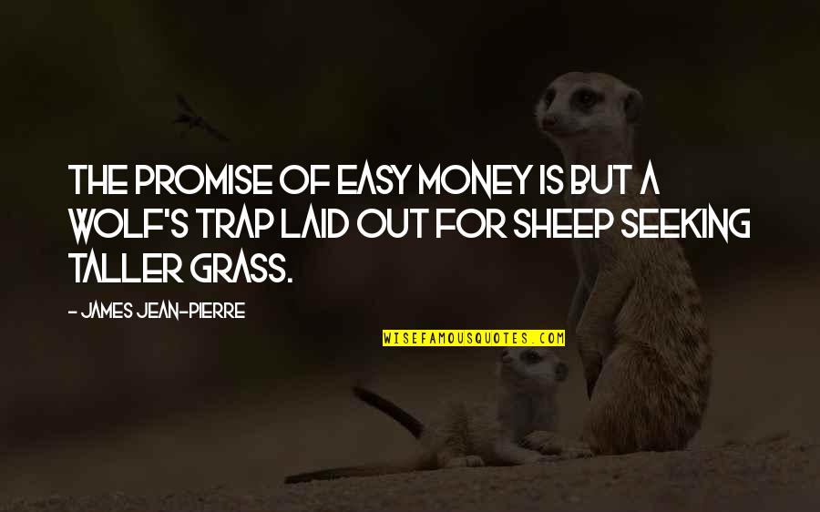 Sheep And Wolf Quotes By James Jean-Pierre: The promise of easy money is but a