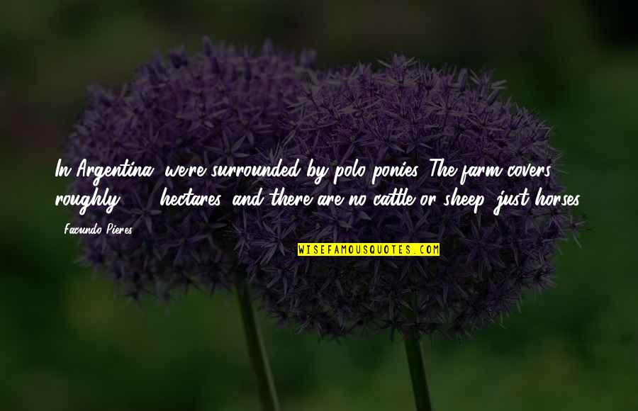 Sheep Farm Quotes By Facundo Pieres: In Argentina, we're surrounded by polo ponies. The Sheep Farm Quotes By Facundo Pieres: In Argentina, we're surrounded by polo ponies. The