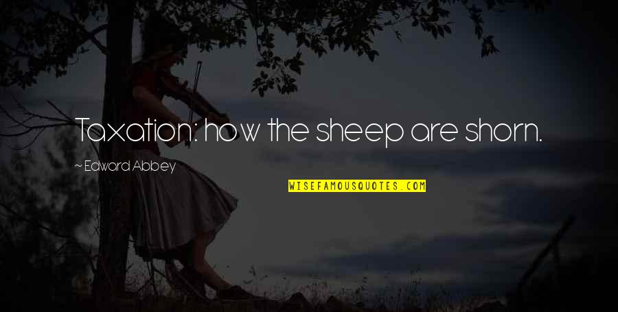Sheep Quotes By Edward Abbey: Taxation: how the sheep are shorn.