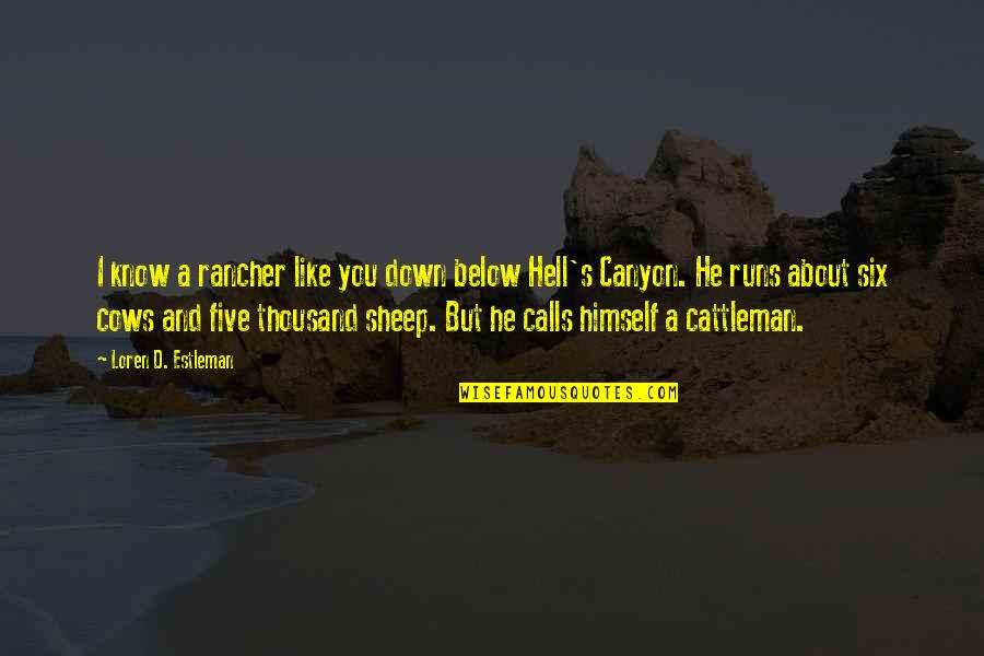 Sheep Quotes By Loren D. Estleman: I know a rancher like you down below
