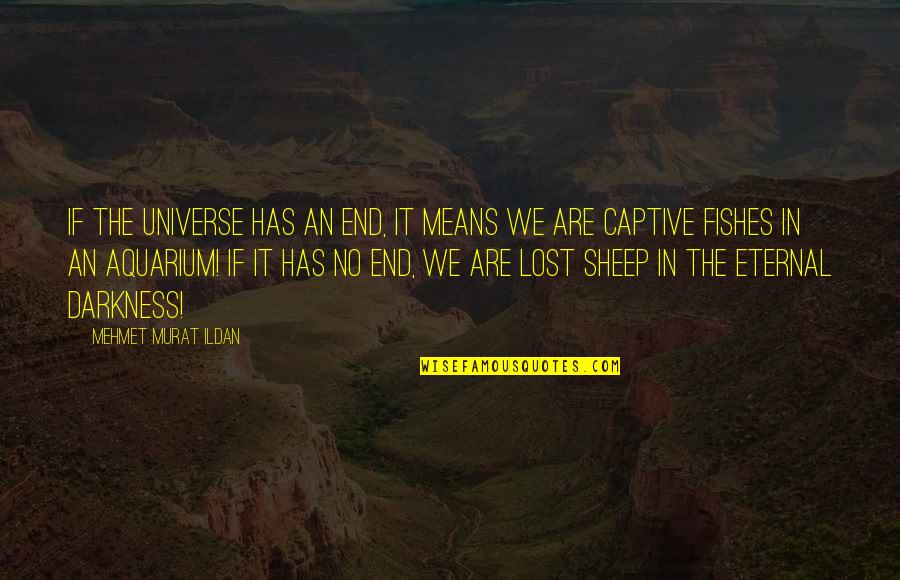 Sheep Quotes By Mehmet Murat Ildan: If the universe has an end, it means