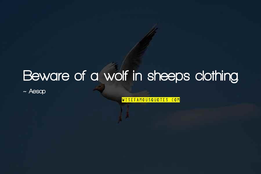 Sheeps Quotes By Aesop: Beware of a wolf in sheep's clothing.