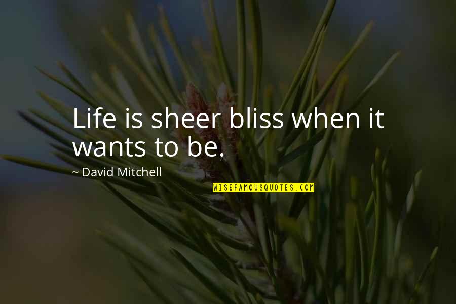 Sheer Bliss Quotes By David Mitchell: Life is sheer bliss when it wants to