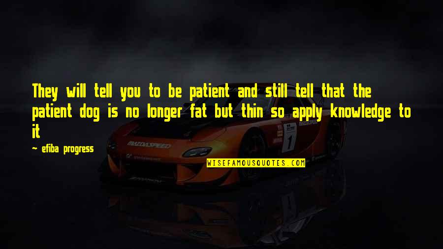 Sheeva Mk Quotes By Efiba Progress: They will tell you to be patient and Sheeva Mk Quotes By Efiba Progress: They will tell you to be patient and