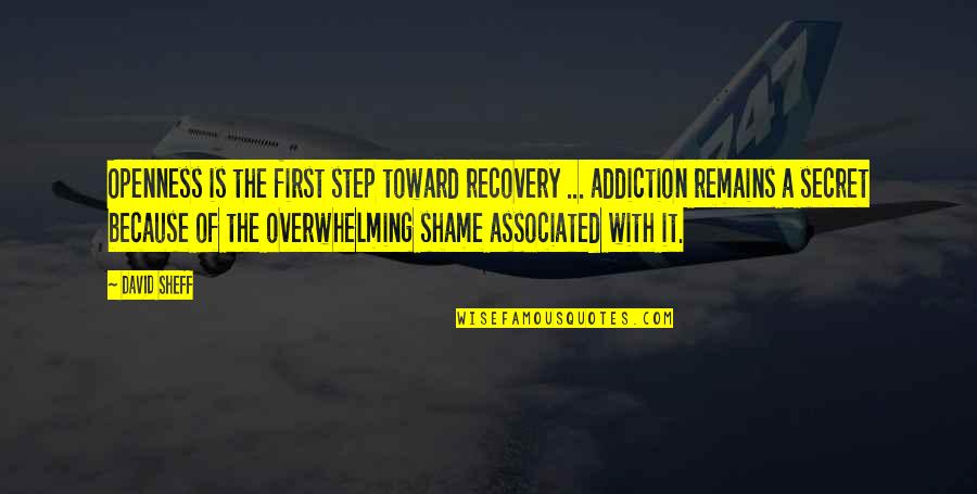 Sheff Quotes By David Sheff: Openness is the first step toward recovery ... Sheff Quotes By David Sheff: Openness is the first step toward recovery ...