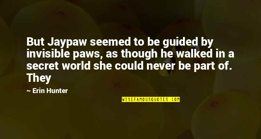 Sheikh Zayed Quotes By Erin Hunter: But Jaypaw seemed to be guided by invisible