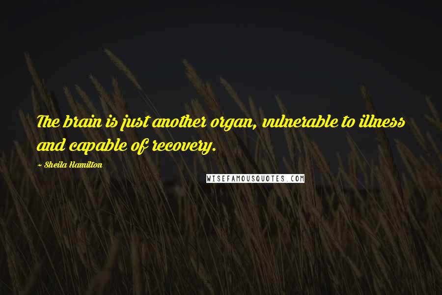 Sheila Hamilton quotes: The brain is just another organ, vulnerable to illness and capable of recovery.