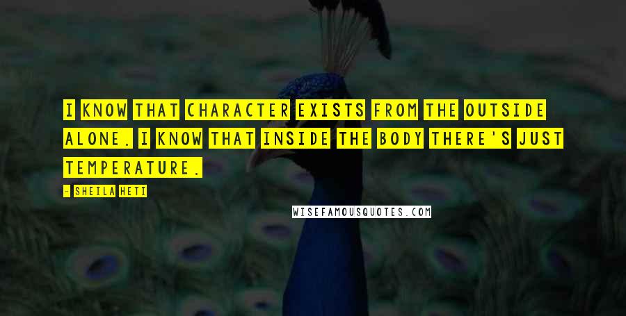 Sheila Heti quotes: I know that character exists from the outside alone. I know that inside the body there's just temperature.