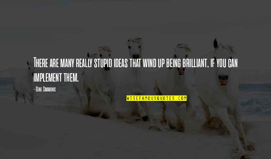 Sheinbaum Tao Quotes By Gene Simmons: There are many really stupid ideas that wind